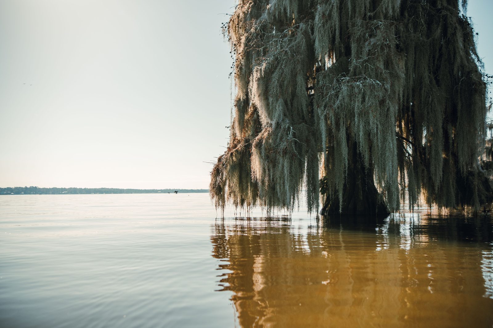 South Georgia waterway